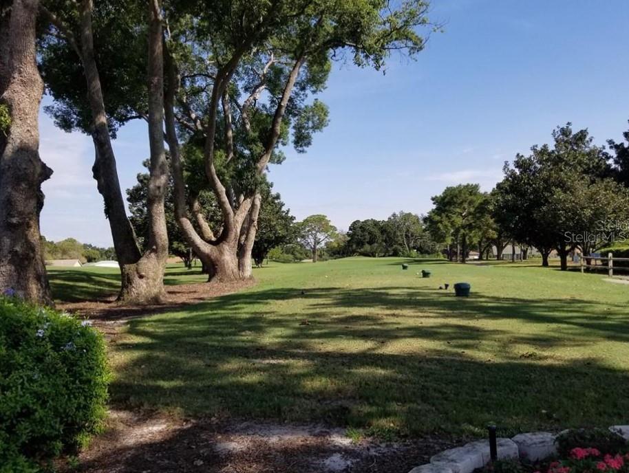 3109 Mission Grove Drive, Unit D Palm Harbor, FL 34684 - Photo 44 of 62 a view of a golf course with a lake