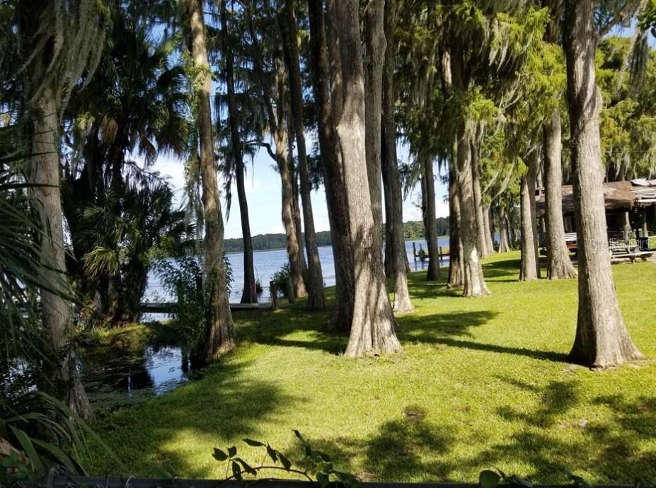 3109 Mission Grove Drive, Unit D Palm Harbor, FL 34684 - Photo 48 of 62 a view of a yard with swimming pool