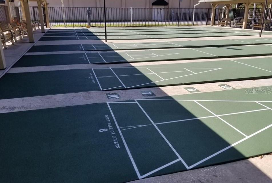 3109 Mission Grove Drive, Unit D Palm Harbor, FL 34684 - Photo 51 of 62