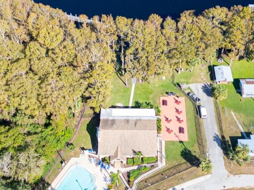 3109 Mission Grove Drive, Unit D Palm Harbor, FL 34684 - Photo 53 of 62