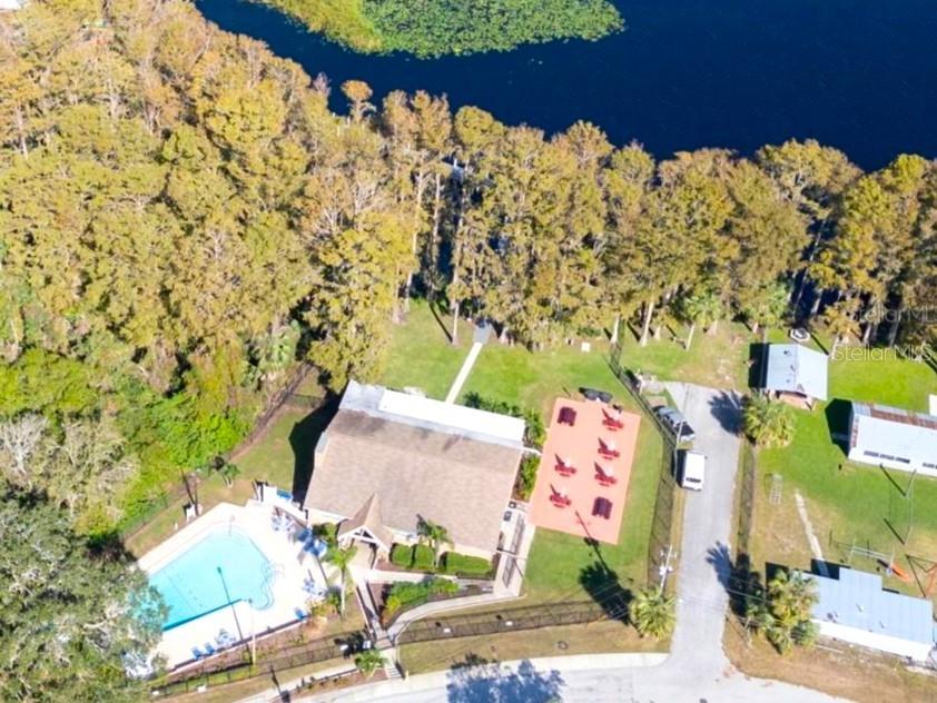 3109 Mission Grove Drive, Unit D Palm Harbor, FL 34684 - Photo 54 of 62