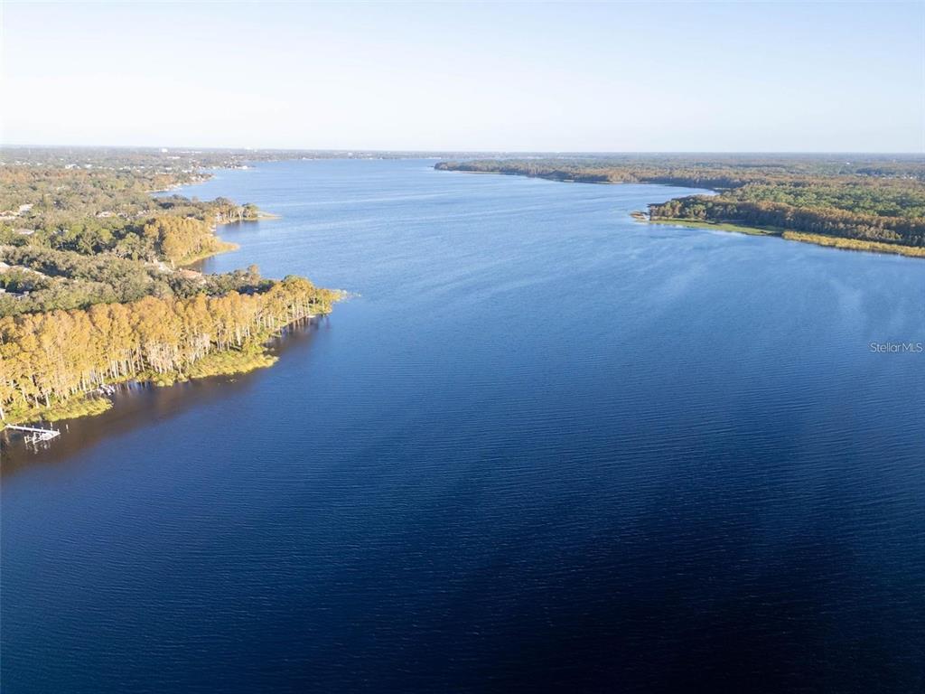 3109 Mission Grove Drive, Unit D Palm Harbor, FL 34684 - Photo 55 of 62