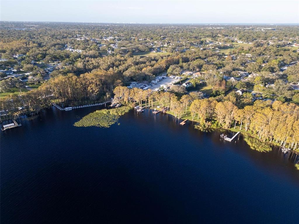 3109 Mission Grove Drive, Unit D Palm Harbor, FL 34684 - Photo 56 of 62 an aerial view of a house with a lake