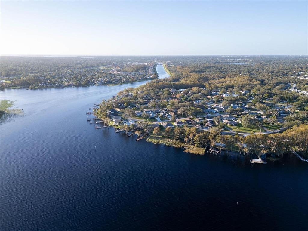 3109 Mission Grove Drive, Unit D Palm Harbor, FL 34684 - Photo 57 of 62