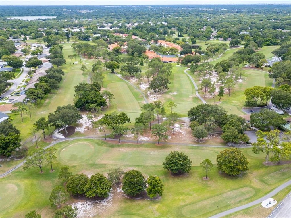 3109 Mission Grove Drive, Unit D Palm Harbor, FL 34684 - Photo 58 of 62 a view of lake view and mountain view