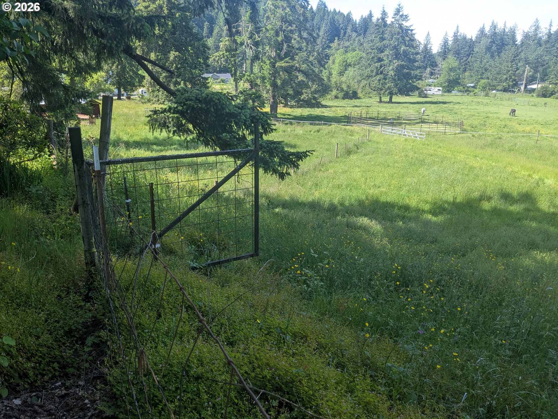 15341 South Hattan Road Oregon City, OR 97045 - Photo 38 of 41 Pasture