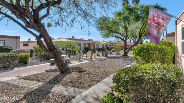 a view of a park with plants and trees