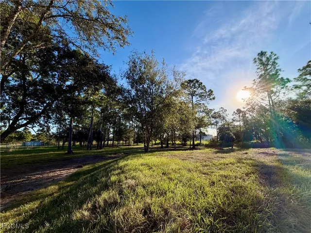 a view of outdoor space with deck and yard