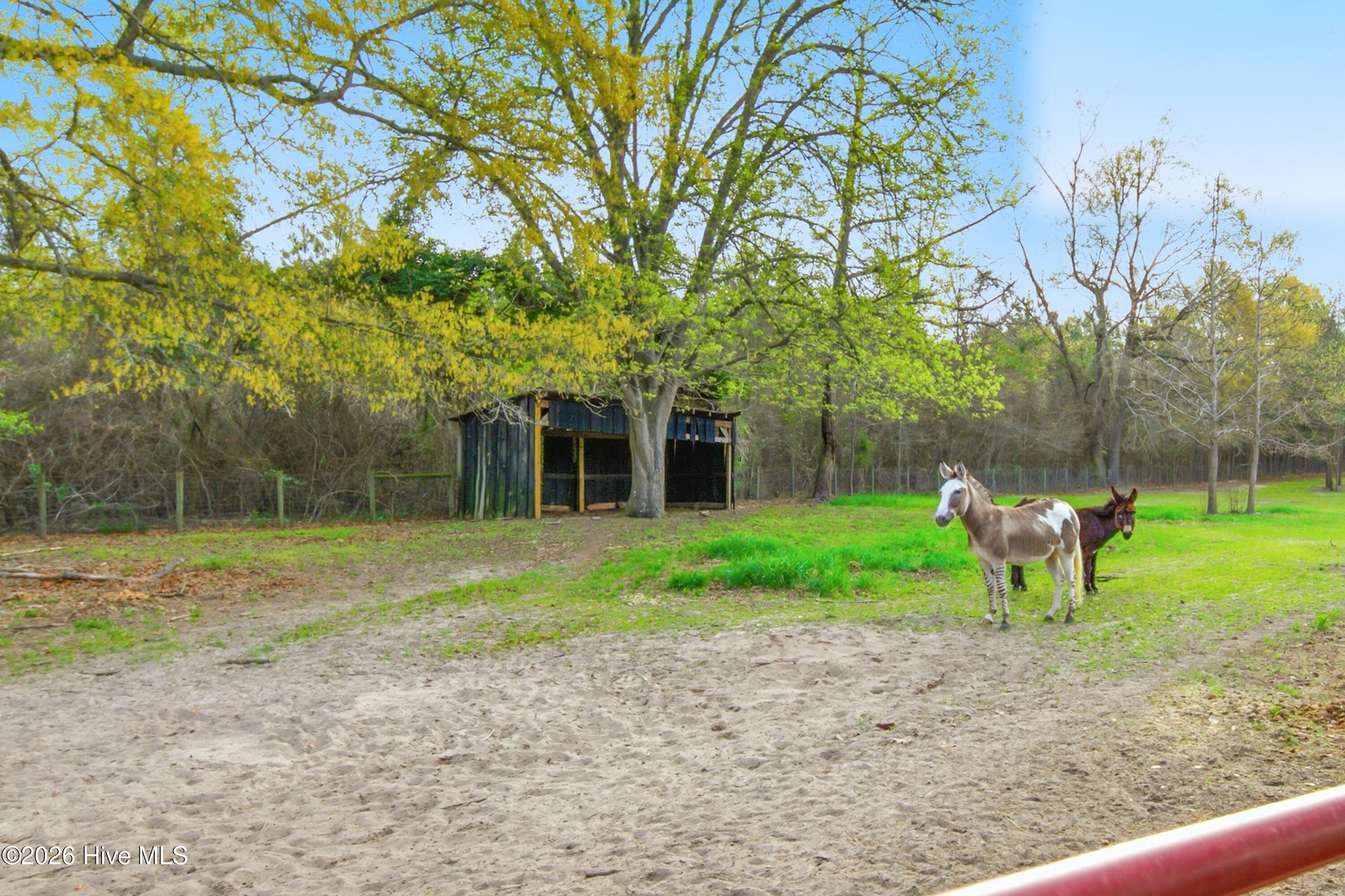 449 Montrose Road Raeford, NC 28376 - Photo 47 of 49 46-449MontroseRd,Raeford