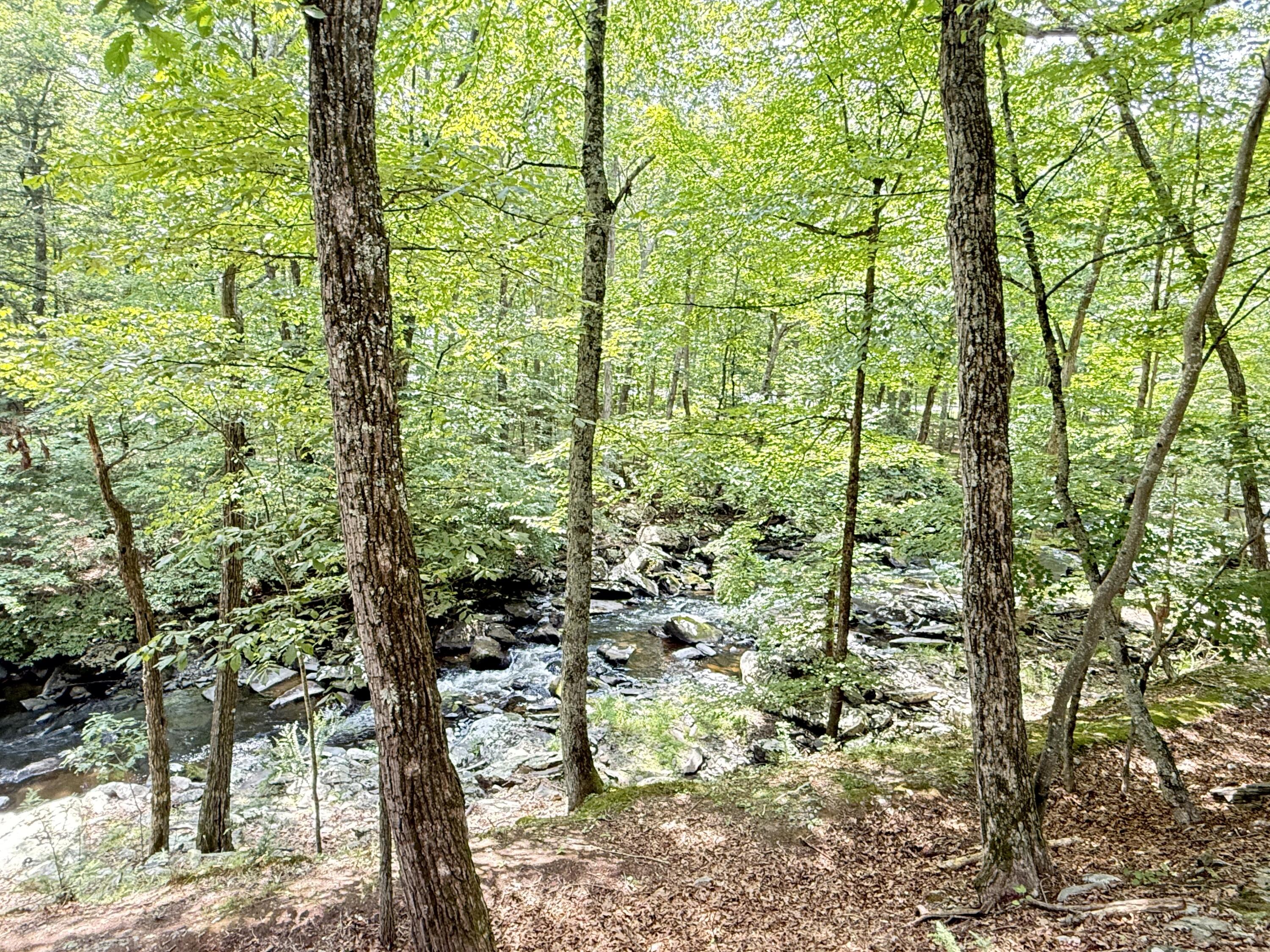 6414 Decker Road Bushkill, PA 18324 - Photo 36 of 65 a view of outdoor space and trees