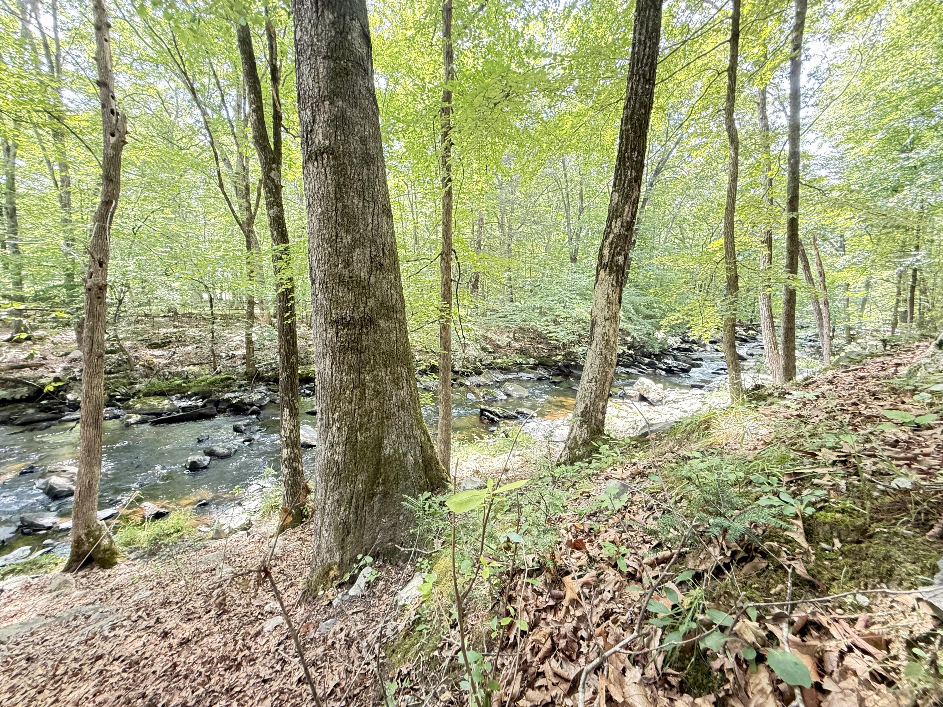 6414 Decker Road Bushkill, PA 18324 - Photo 38 of 65 38
