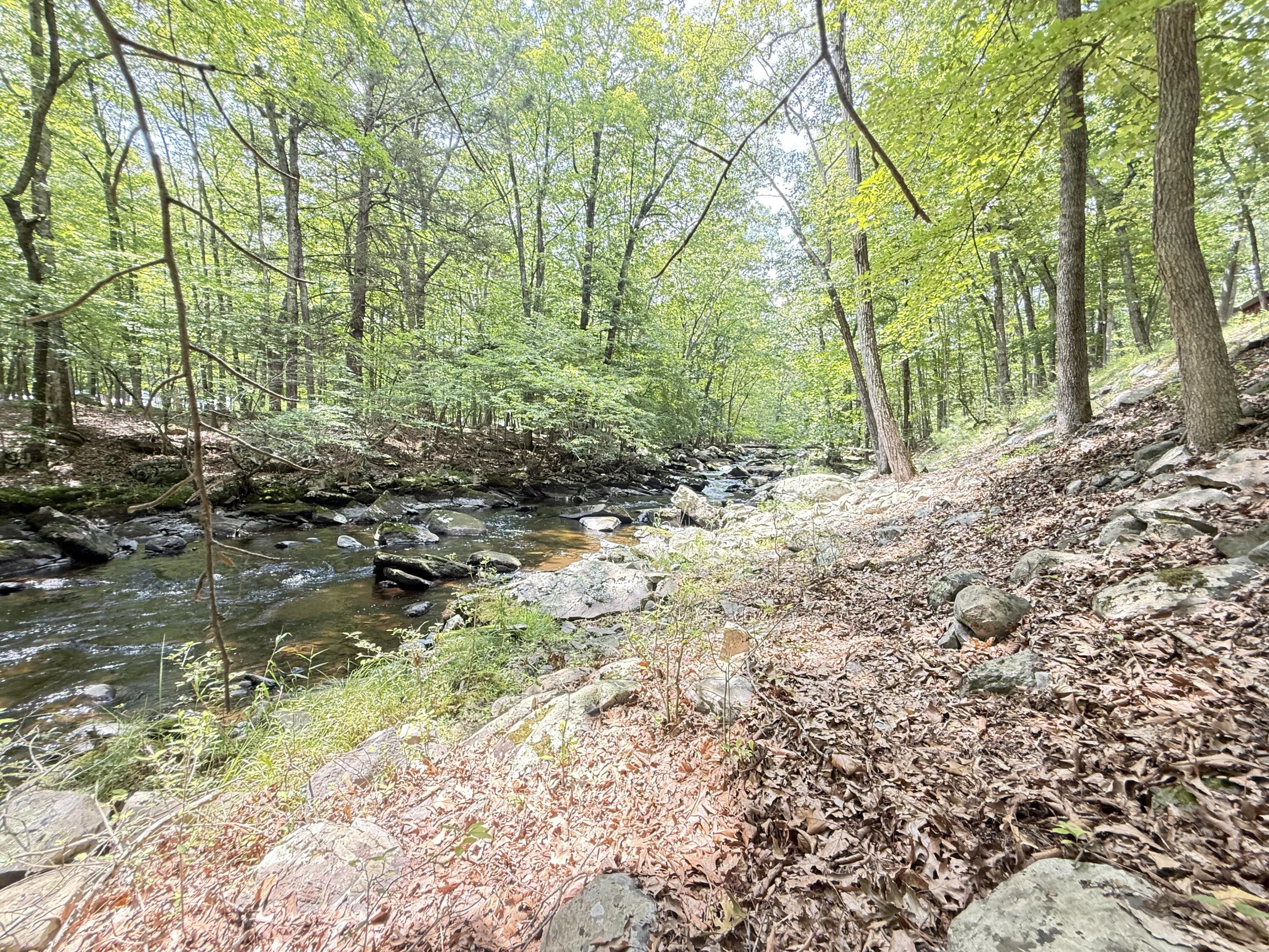 6414 Decker Road Bushkill, PA 18324 - Photo 39 of 65 a view of a forest filled with trees