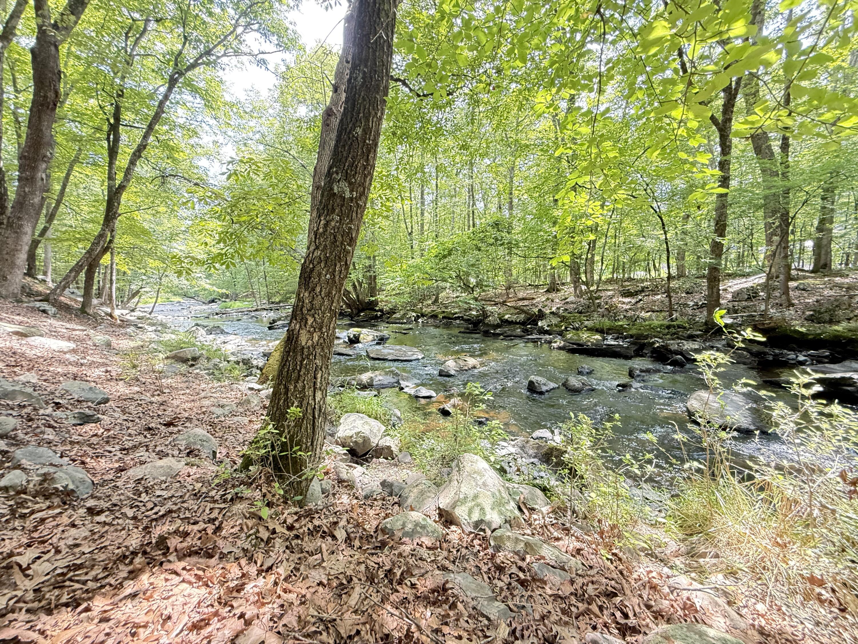 6414 Decker Road Bushkill, PA 18324 - Photo 40 of 65 a backyard of a house with lots of green space