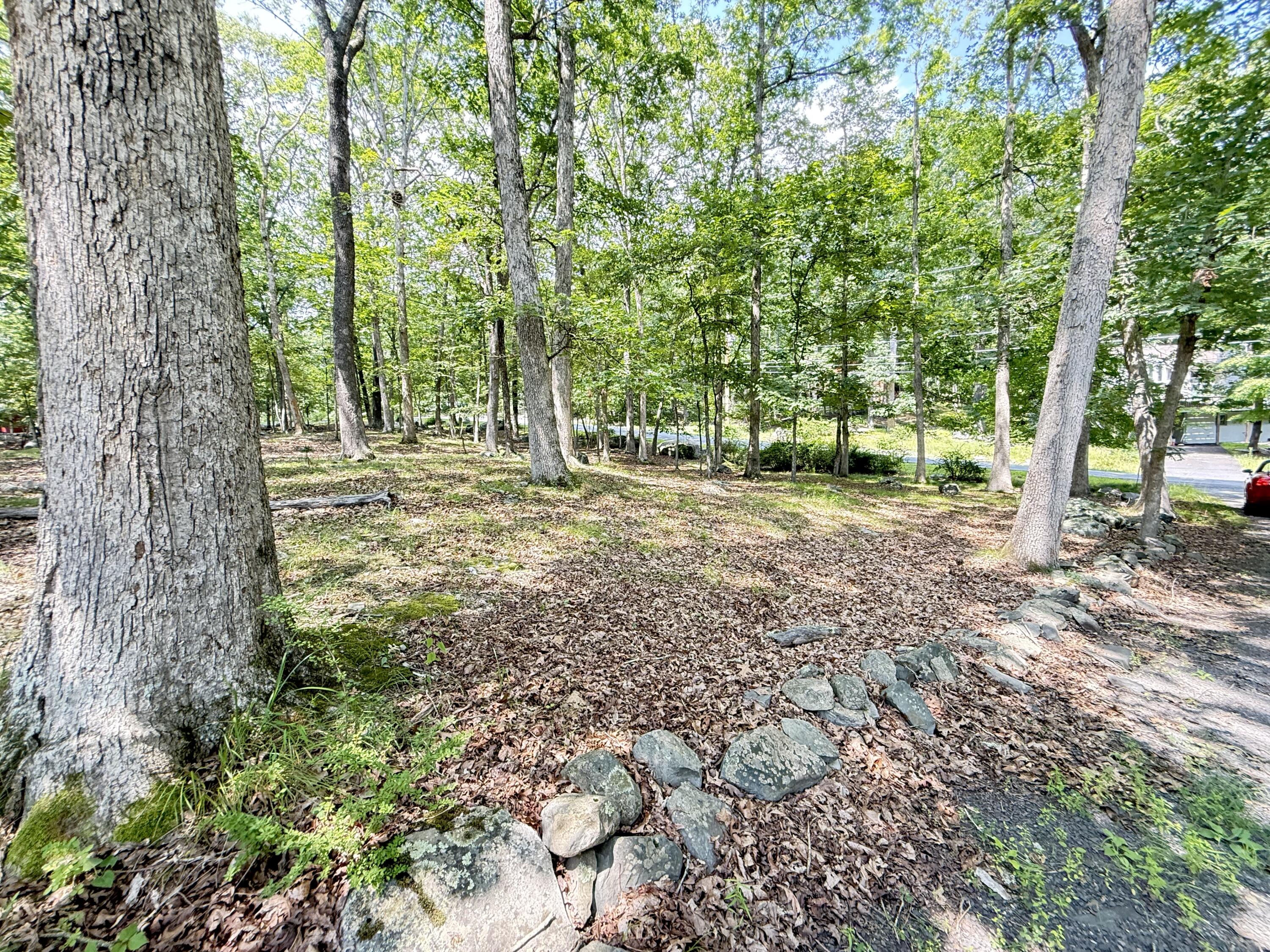 6414 Decker Road Bushkill, PA 18324 - Photo 43 of 65 a view of a yard with plants and trees