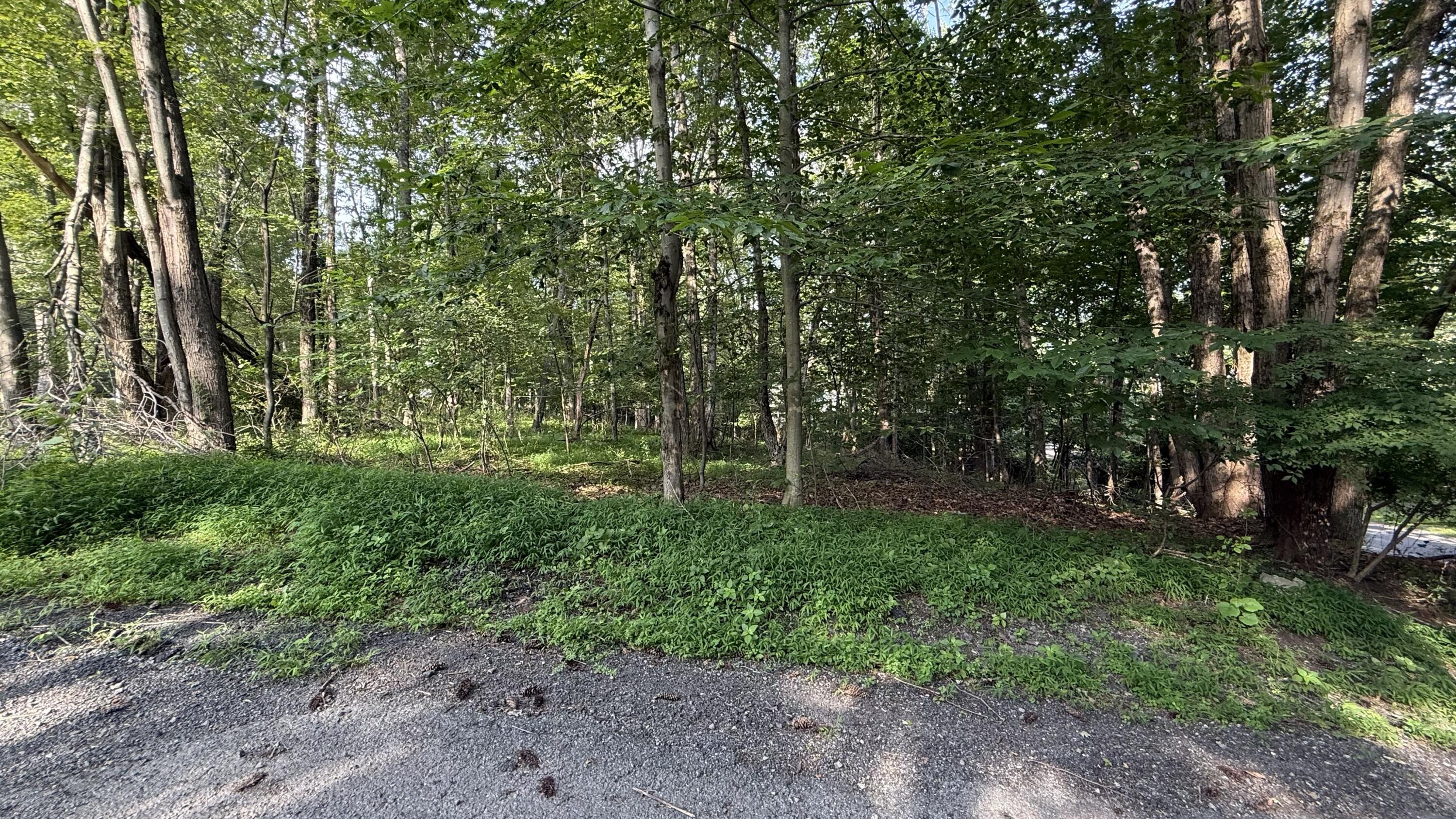 6414 Decker Road Bushkill, PA 18324 - Photo 44 of 65 a view of a lush green forest