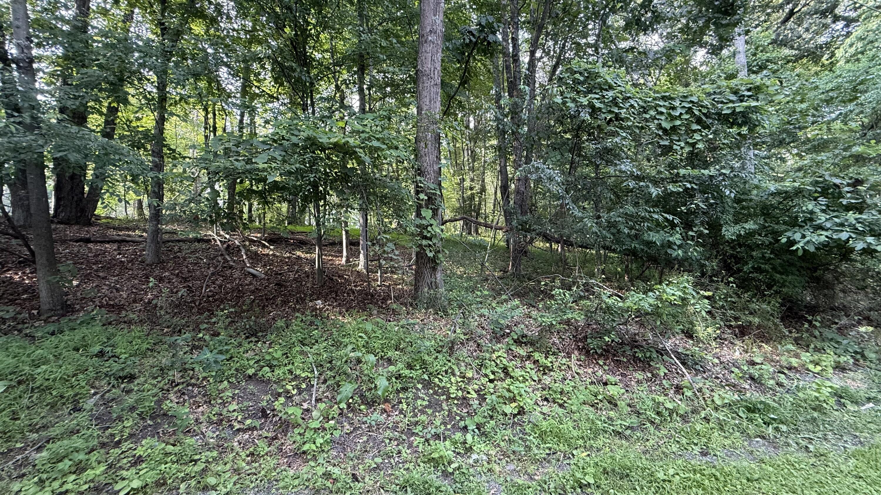 6414 Decker Road Bushkill, PA 18324 - Photo 45 of 65 a view of outdoor space and green space
