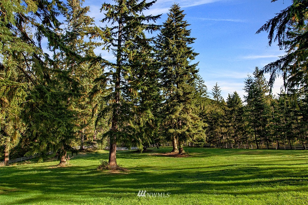 14550 Tiger Mountain Road Southeast Issaquah, WA 98027 - Photo 7 of 10 Gallery Image 7