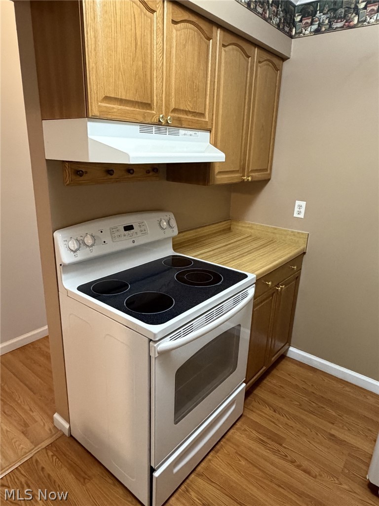 9956 Johnnycake Ridge Road, Unit L1 Painesville, OH 44077 - Photo 4 of 12