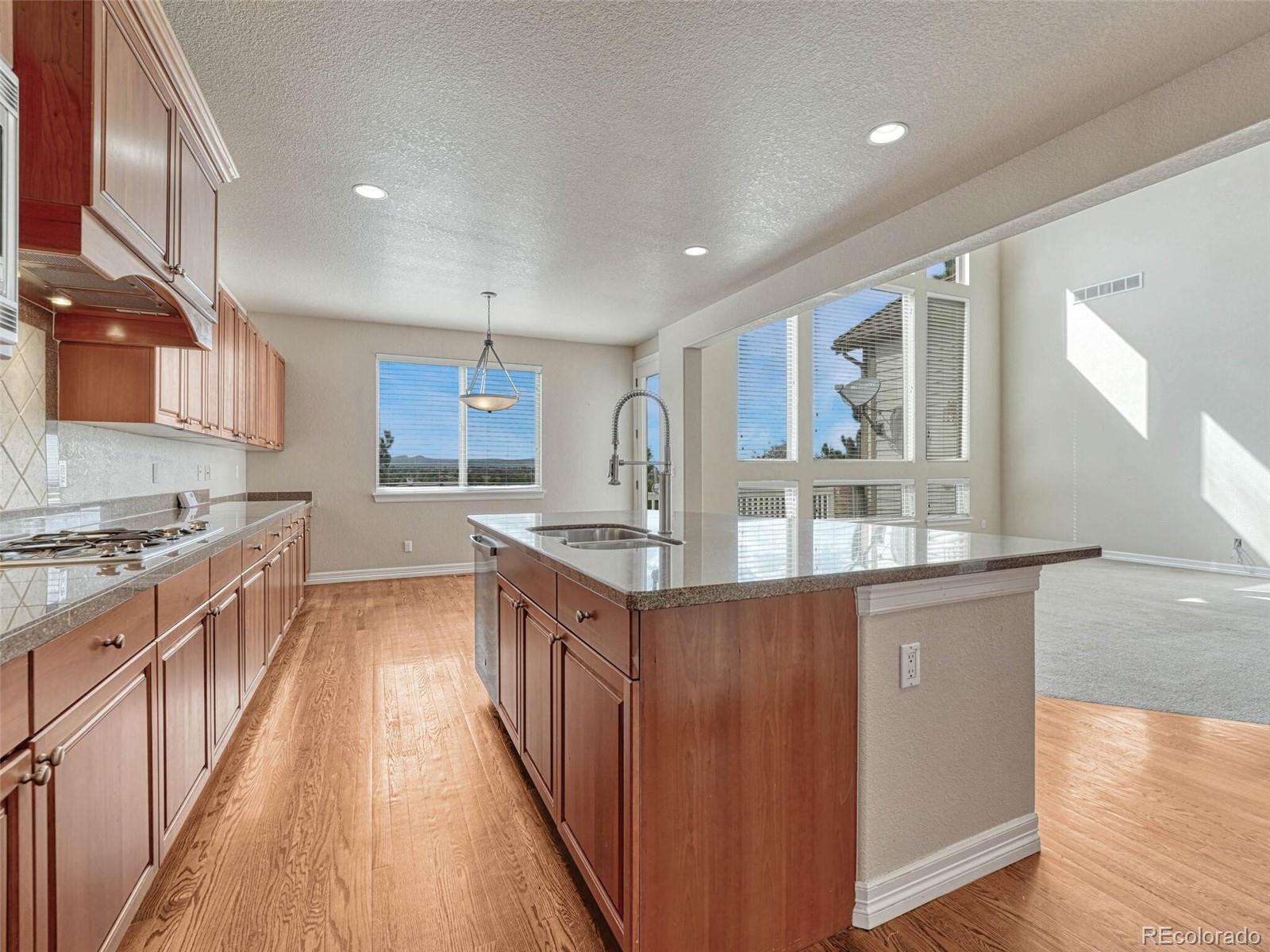 9741 Sunset Hill Circle Lone Tree, CO 80124 - Photo 7 of 43 a kitchen with stainless steel appliances granite countertop a stove and a sink