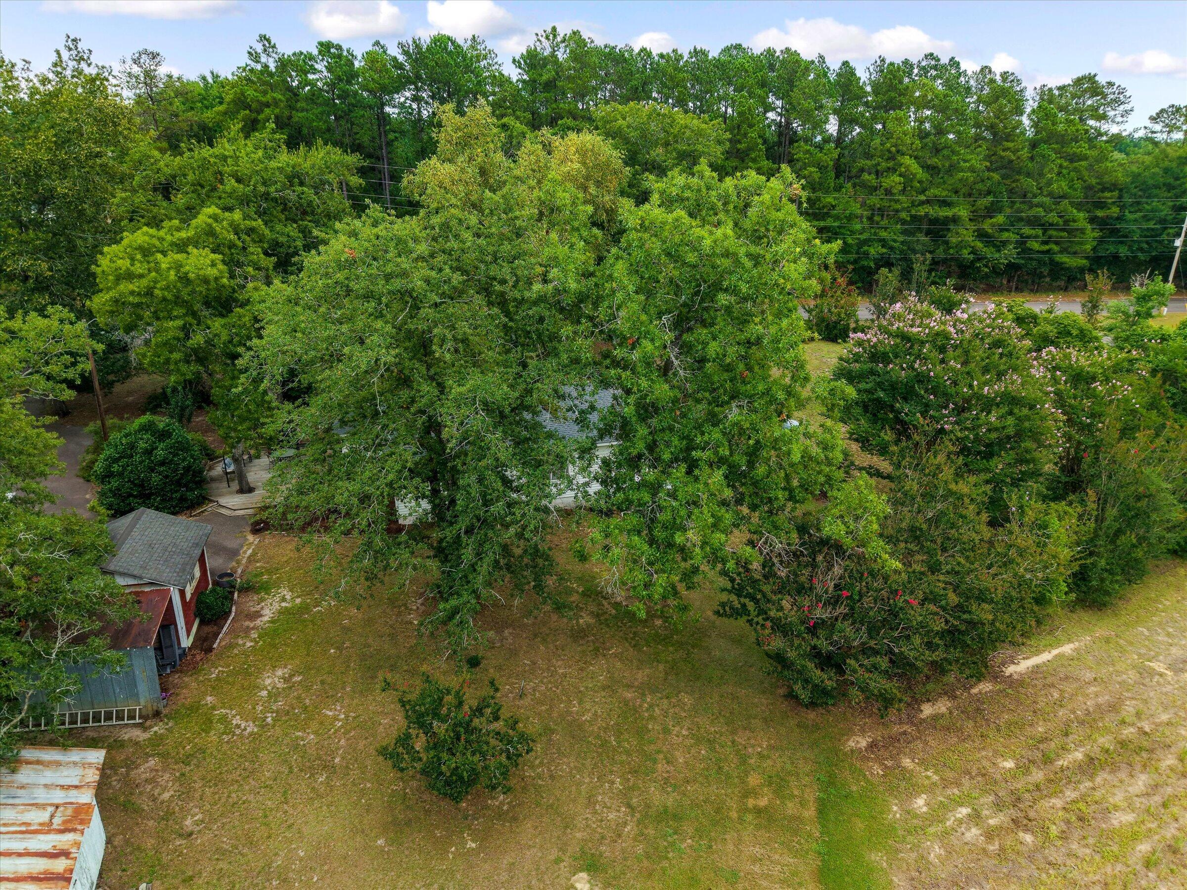 1208 Cummings Road Ridge Spring, SC 29129 - Photo 51 of 54 Gallery Image 51