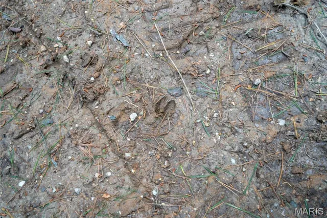 $59,900 | 17254 Hwy K, Annapolis, MO 63620