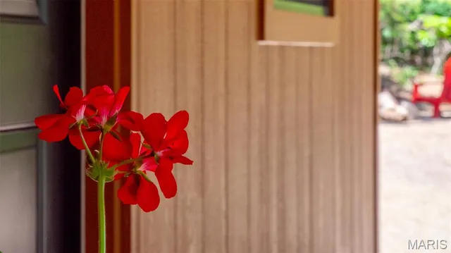 $59,900 | 17254 Hwy K, Annapolis, MO 63620