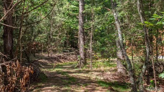 $59,900 | 17254 Hwy K, Annapolis, MO 63620