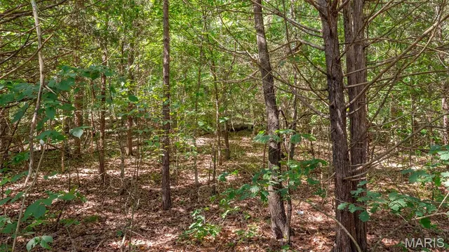 $59,900 | 17254 Hwy K, Annapolis, MO 63620