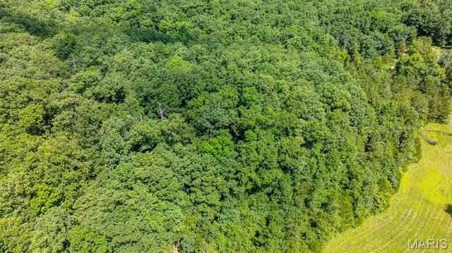 $59,900 | 17254 Hwy K, Annapolis, MO 63620