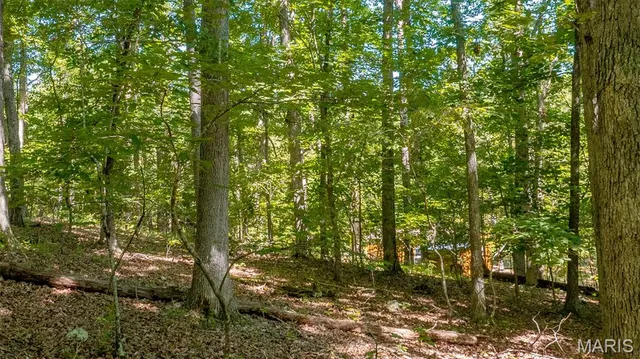 $59,900 | 17254 Hwy K, Annapolis, MO 63620