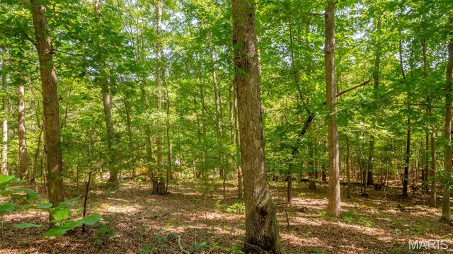 $59,900 | 17254 Hwy K, Annapolis, MO 63620