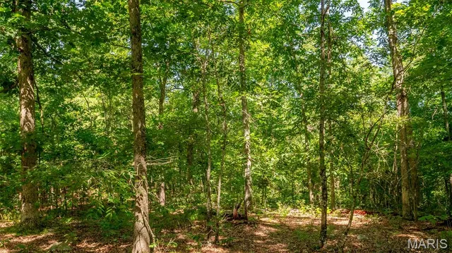 $59,900 | 17254 Hwy K, Annapolis, MO 63620