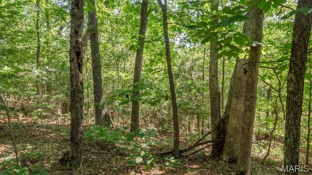 $59,900 | 17254 Hwy K, Annapolis, MO 63620