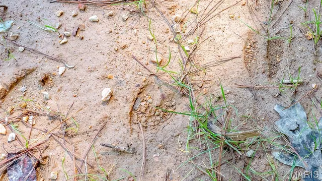 $59,900 | 17254 Hwy K, Annapolis, MO 63620