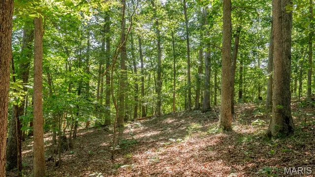 $59,900 | 17254 Hwy K, Annapolis, MO 63620