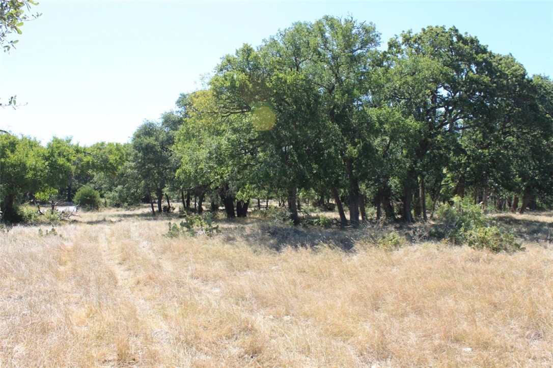 3301 County Road 233 Florence, TX 76527 - Photo 1 of 1 a view of a yard with a tree