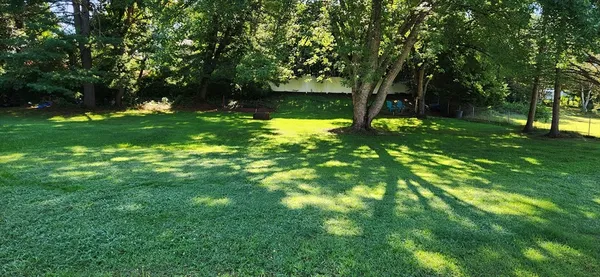 a view of a trees with a yard