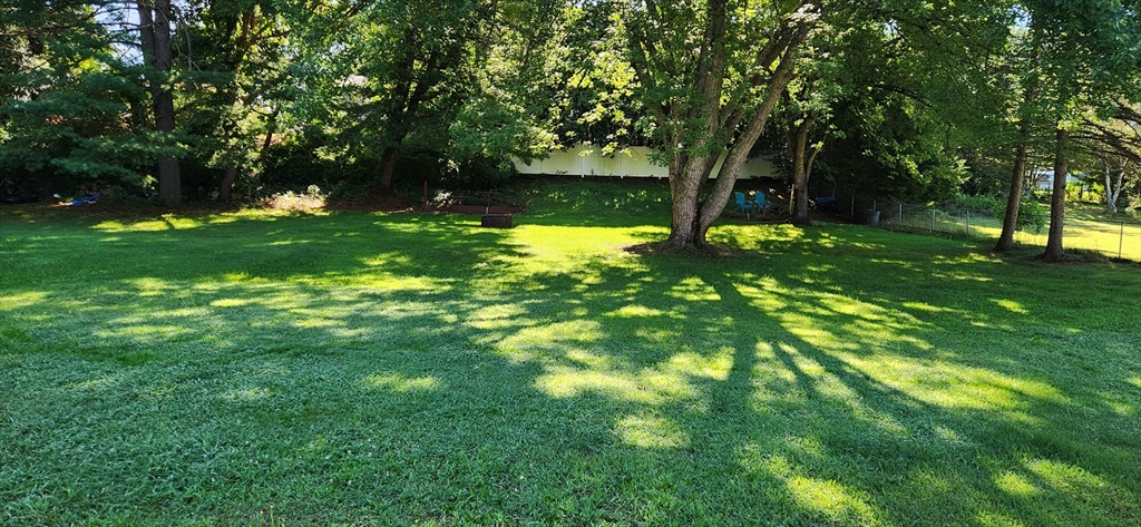 60 Wethersfield Road Bellingham, MA 02019 - Photo 6 of 7 a view of a trees with a yard