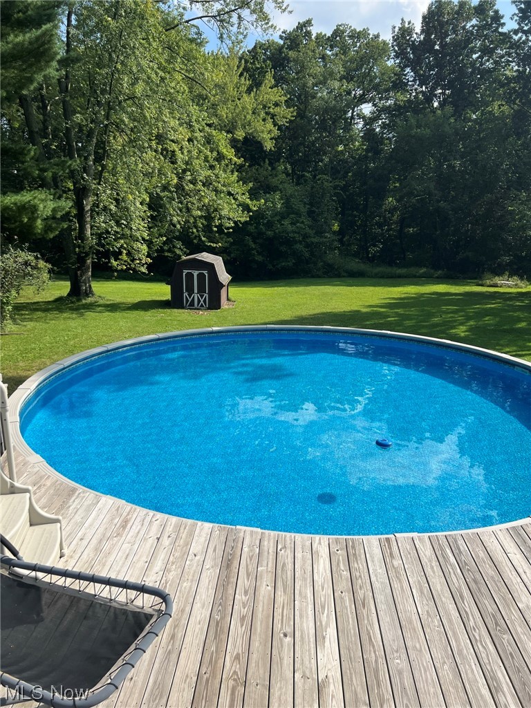 294 Lester Road New Franklin, OH 44319 - Photo 18 of 24 View of pool with a yard and a storage shed