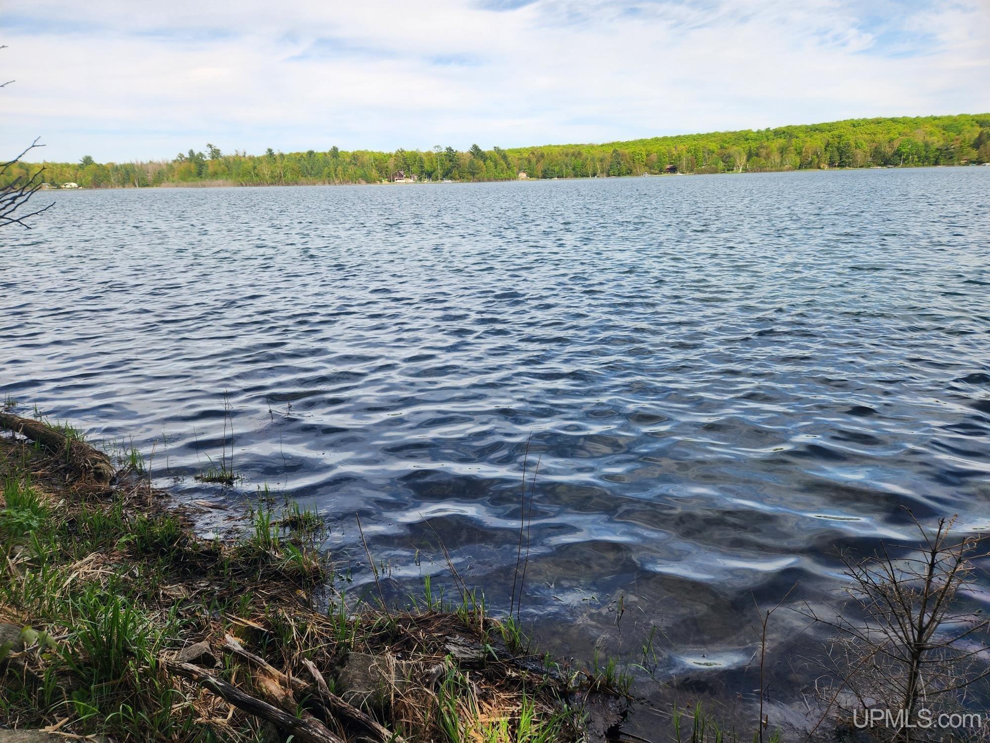 Lot 20 University Road Iron River, MI 49935 - Photo 20 of 23 Gallery Image 20