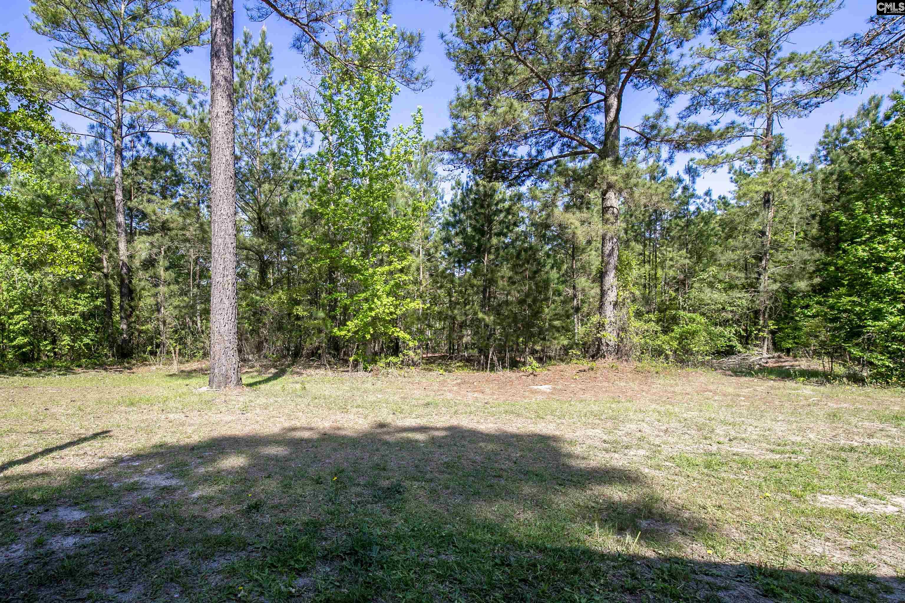 427 Seegars Mill Road Camden, SC 29020 - Photo 15 of 39