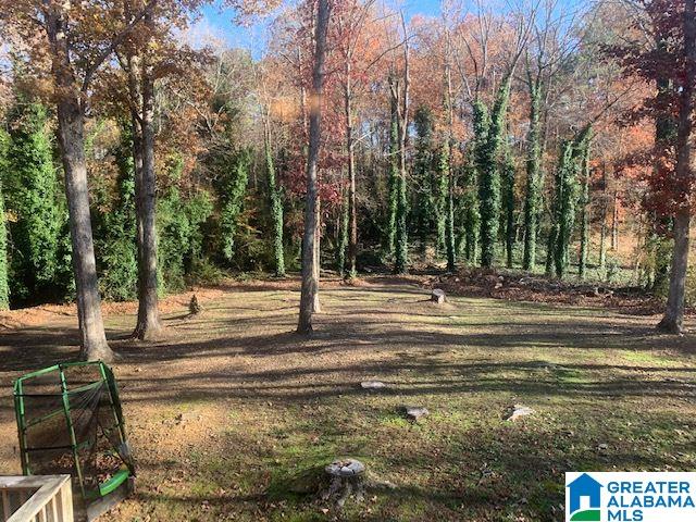 3369 Queenstown Road Trussville, AL 35173 - Photo 36 of 40
