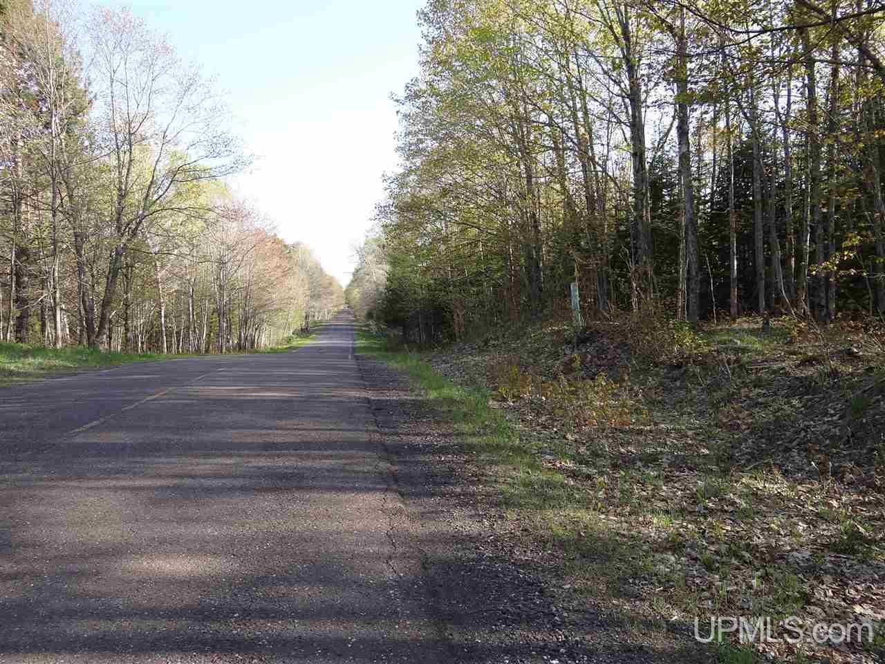 Tbd Rauhala Road, Unit PARCEL 2 Atlantic Mine, MI 49931 - Photo 8 of 19 Gallery Image 8