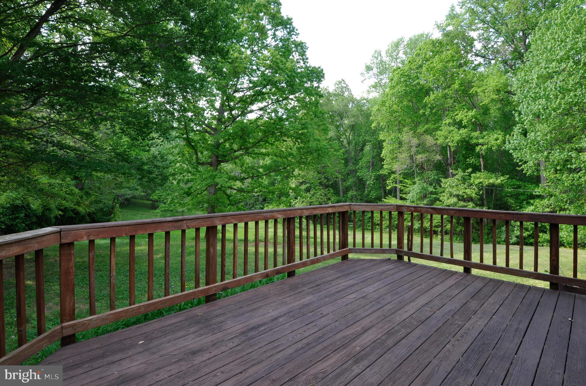 276 Richards Ferry Road Fredericksburg, VA 22406 - Photo 10 of 38 Rear