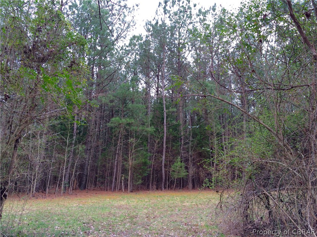 0 White Point Road Kinsale, VA 22488 - Photo 30 of 36