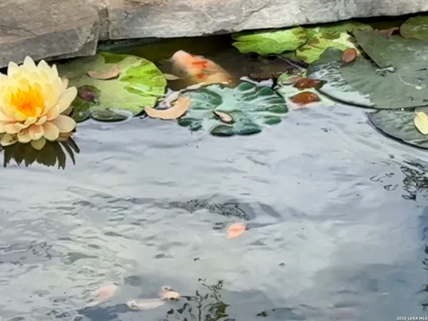 $599,900 | 13034 Wild Heart, Helotes, TX 78023