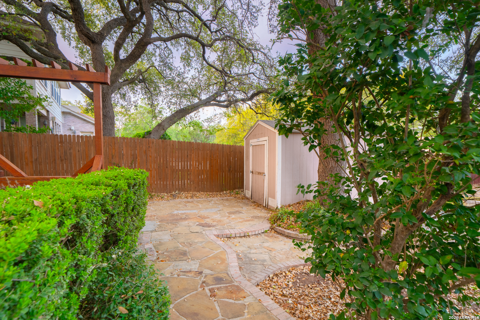 13034 Wild Heart Helotes, TX 78023 - Photo 45 of 49 a view of a back yard with plants and a large tree