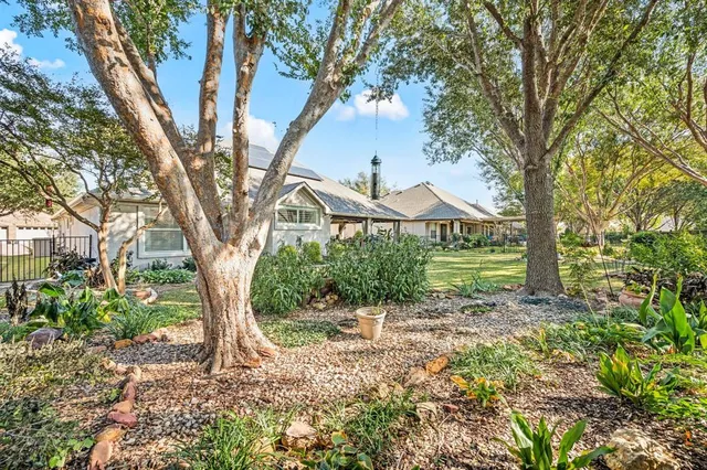 a view of a house with a tree in the yard