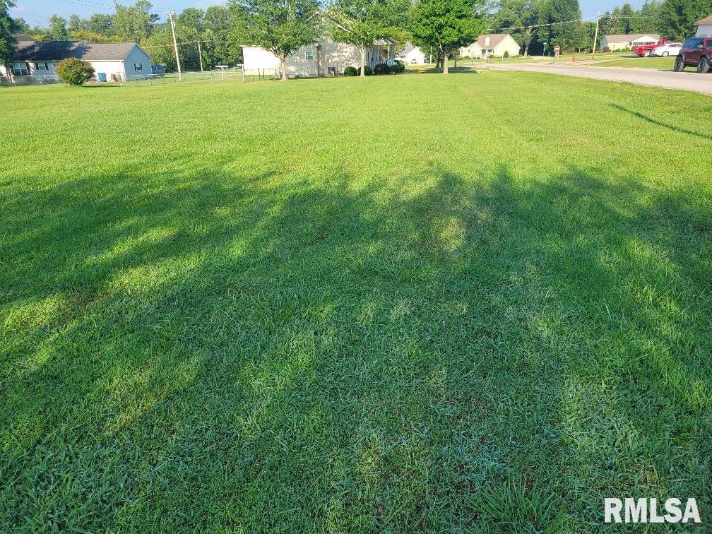 0 Memory Lane McLeansboro, IL 62859 - Photo 5 of 8