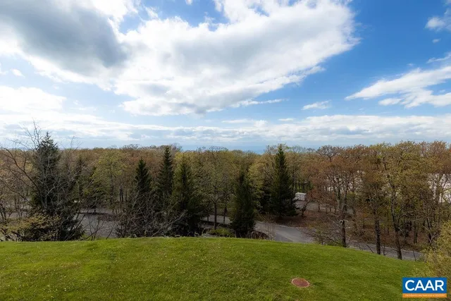 a view of a city with lush green forest
